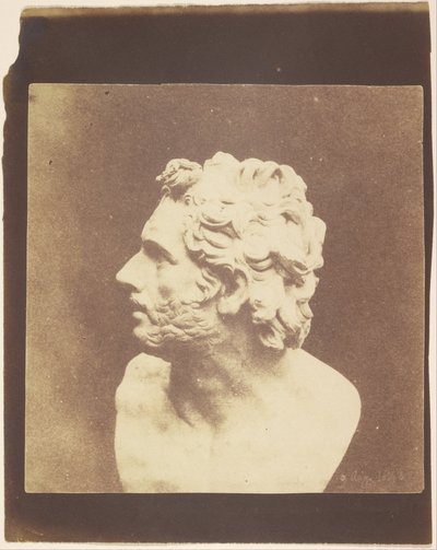 (Busto di Patroclo) da William Henry Fox Talbot